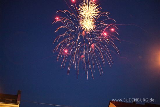 SF2013 DPP 0211